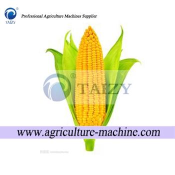 Maize-Peeler-and-Thresher6