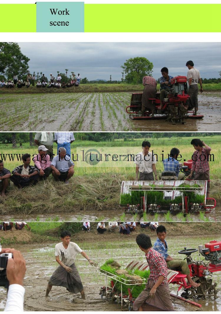 8-row-rice-transplanter3-1