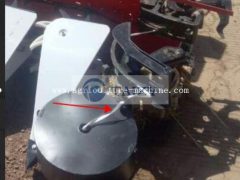 colheita de arroz 09