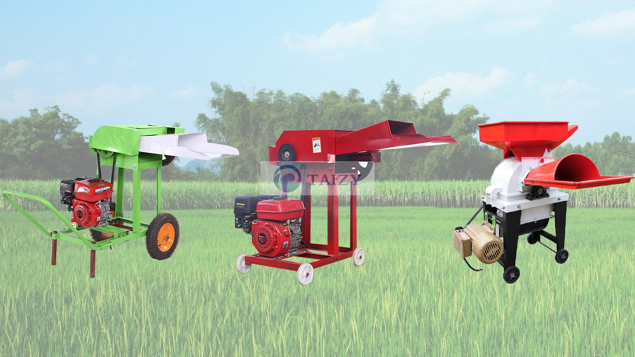 Machine de coupe d'herbe pour aliments pour animaux | coupe-paille | coupe-herbe de grande capacité