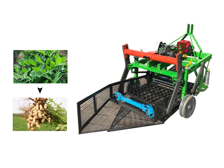 peanut harvesting equipment