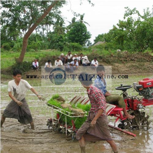 Rice Transplanter / Transplanting Rice Machine 7 Rice Transplanter Product Discription 02