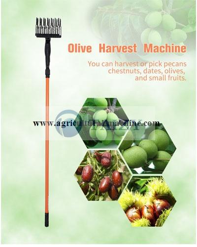 Máquina de colheita de azeitonas