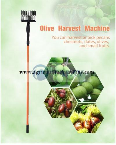 Electric Olive Picking Machine Nut Fruit Picker 2 Olive Harvest Machine