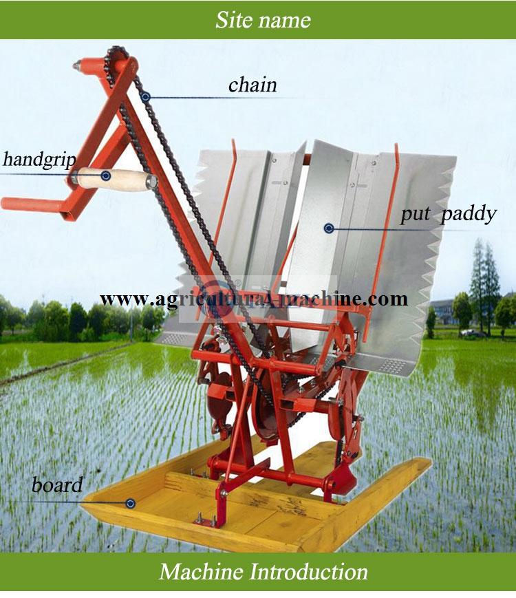 Structure de la machine de transplantation de riz à 2 rangées