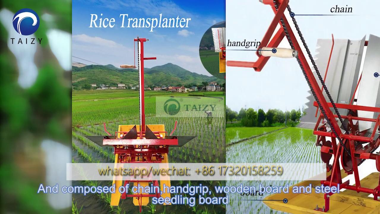 2 row Rice transplanter machine