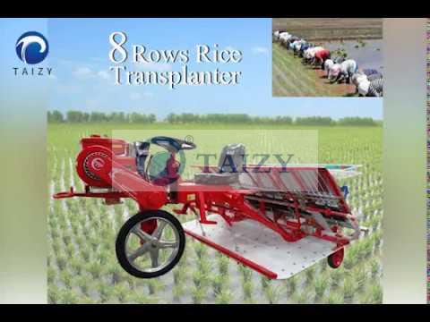 El principal principio de funcionamiento de la trasplantadora de arroz/plantación de arroz salvaje.