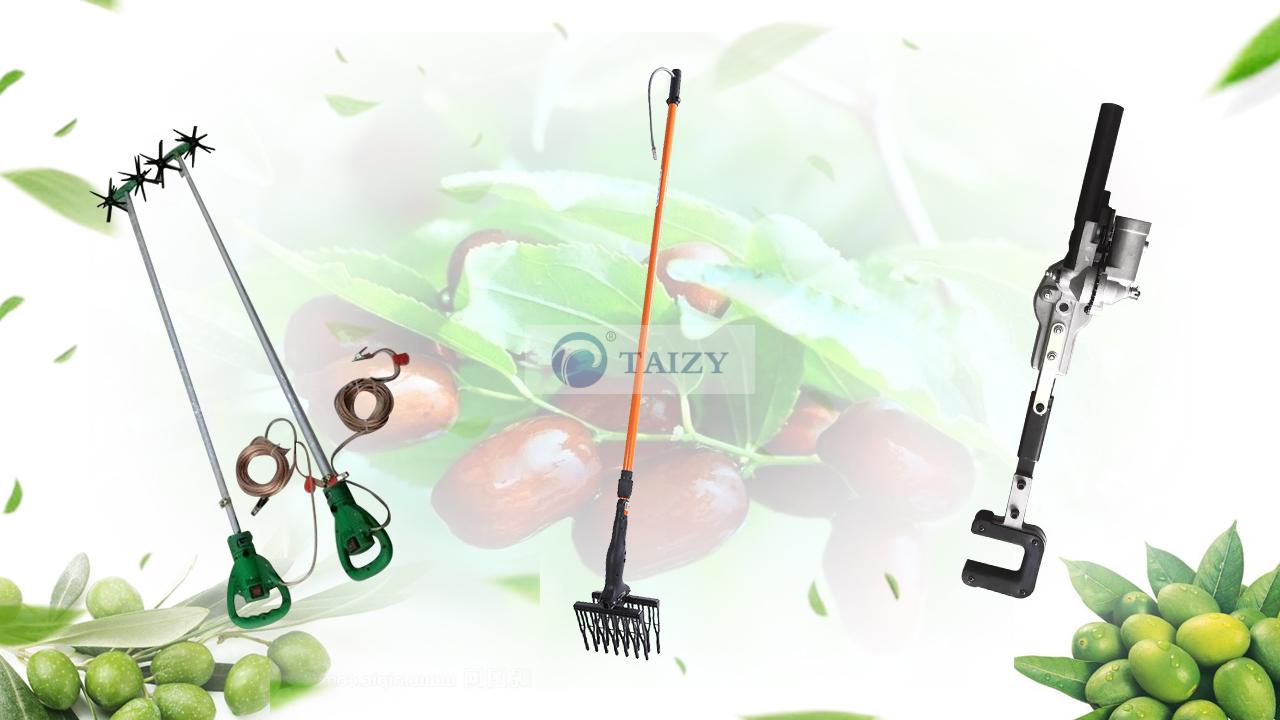 Electric Olive Picking Machine Nut Fruit Picker 1 Fruit Picker Machine