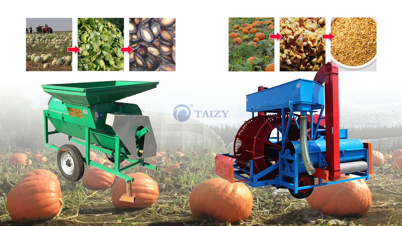 Cosechadora de semillas de calabaza y sandía 丨extractor de semillas de calabaza