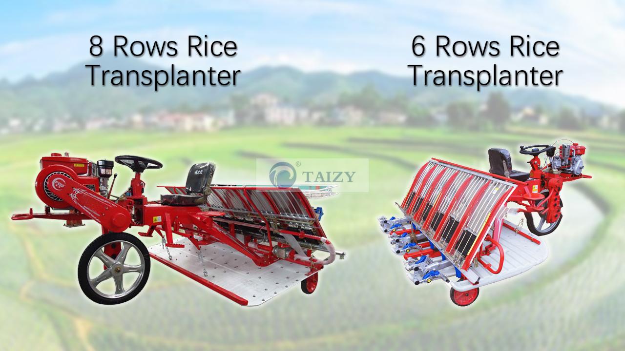 Transplantador de arroz / Máquina de transplante de arroz