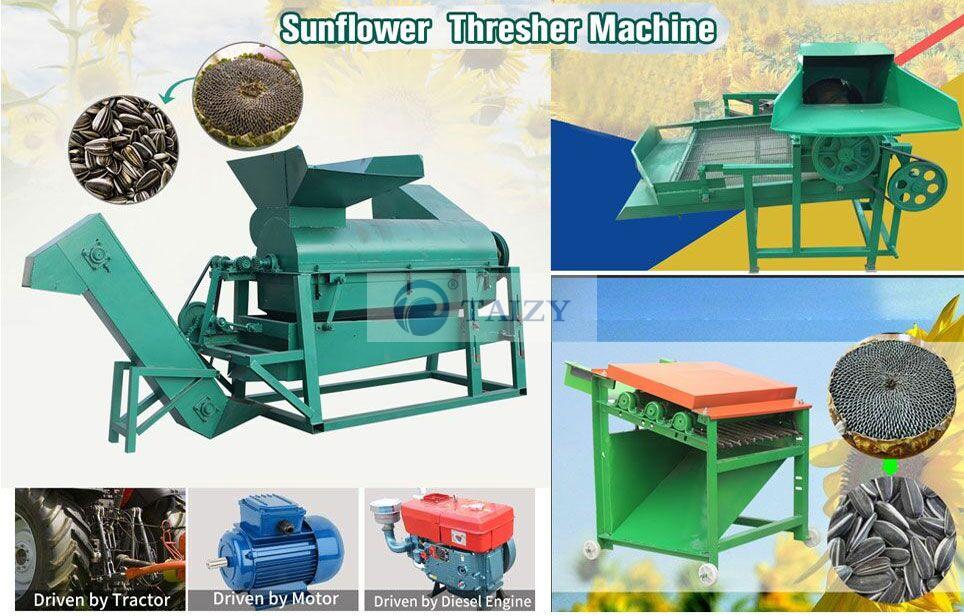 Sunflower thresher | Sunflower seeds shelling machine
