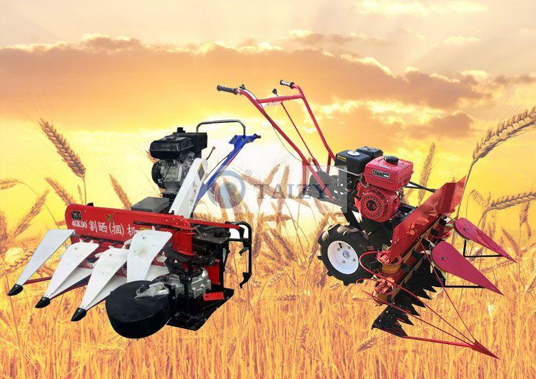 Rice Wheat Cutting Drying And Binding Machine 1 Wheat Harvesting