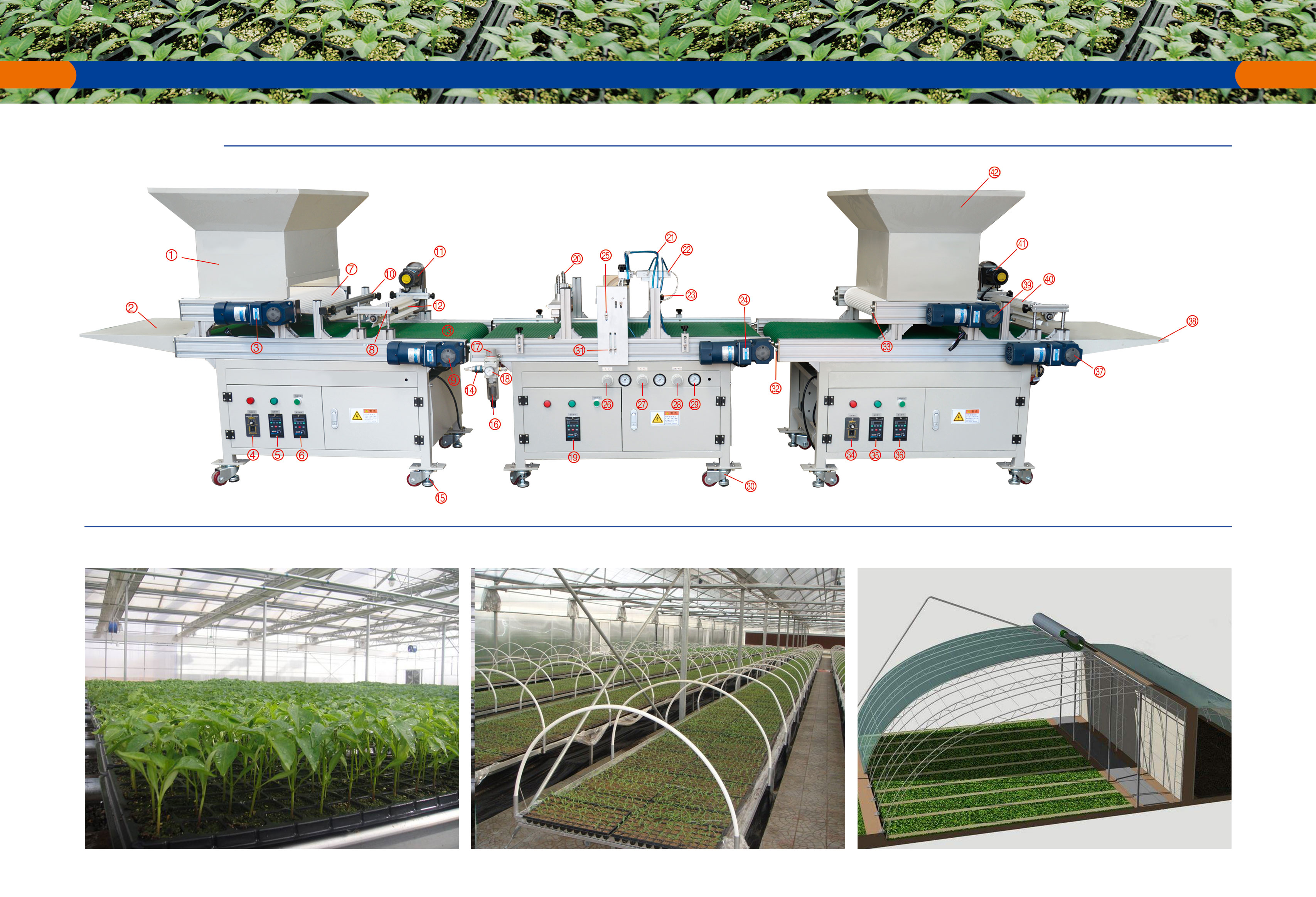 Automatic nursery seeding machine / vegetable flower seeds sowing