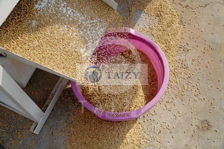 Rice Destoner Machine | Stone Impurities Removing Machine 7 The Flowing Rice Of Rice Stone Removing Machine