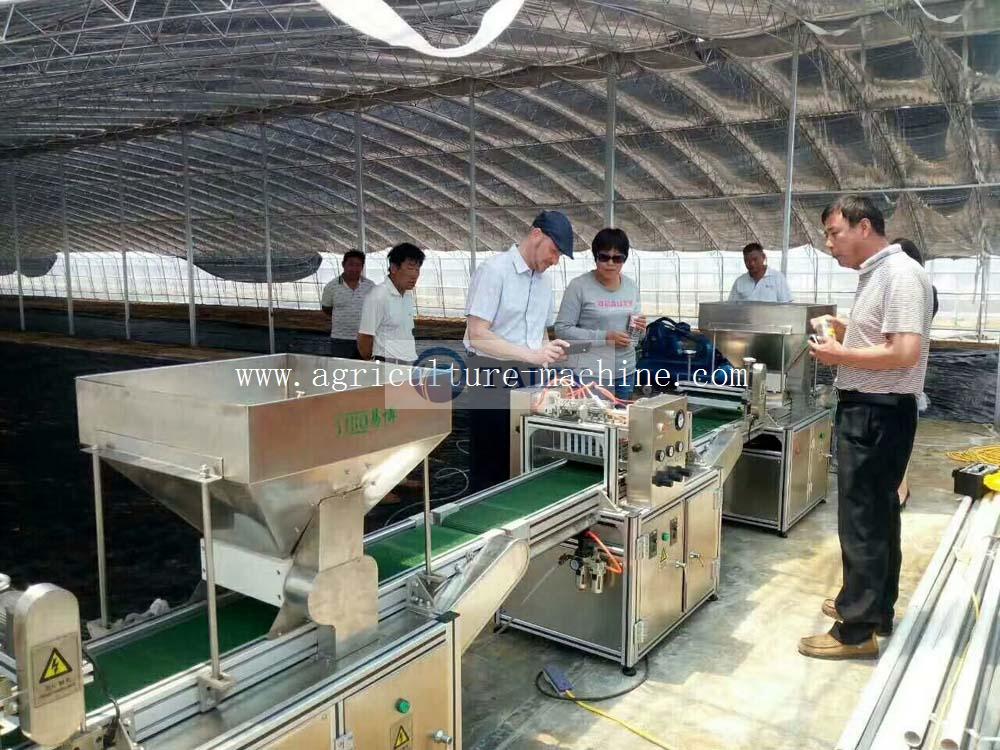 Delivery News About Seeding Machine 1 Seeding Machine06