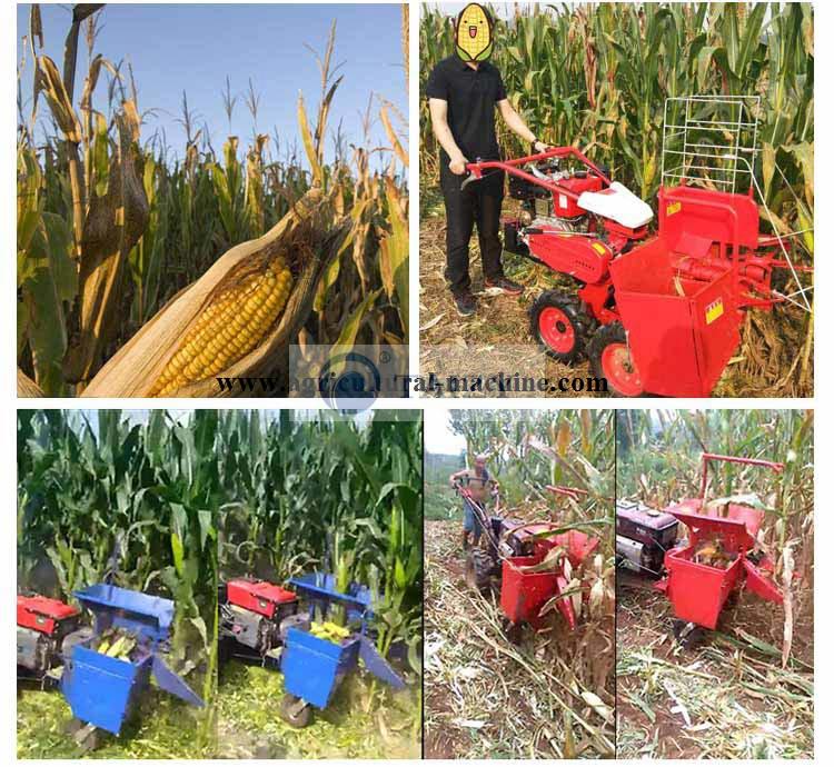 Corn Maize Harvester Machine 13 Manual Maize Cutter