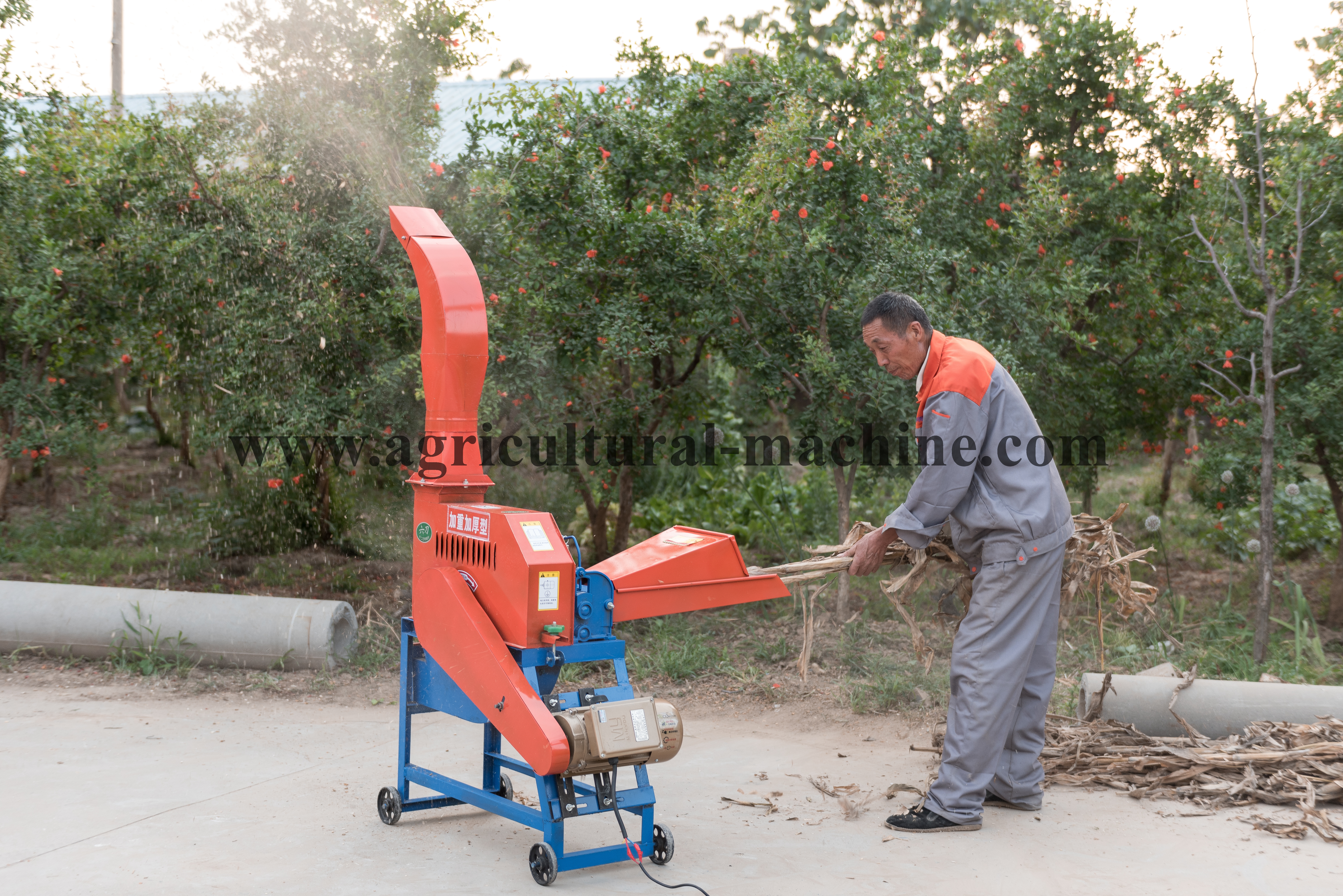 Animal Feed Cutting Grass Machine / Straw Cutter / Grass Cutter With Great Capacity 4 Corn Stalk Of Cutter Machine Testing Site