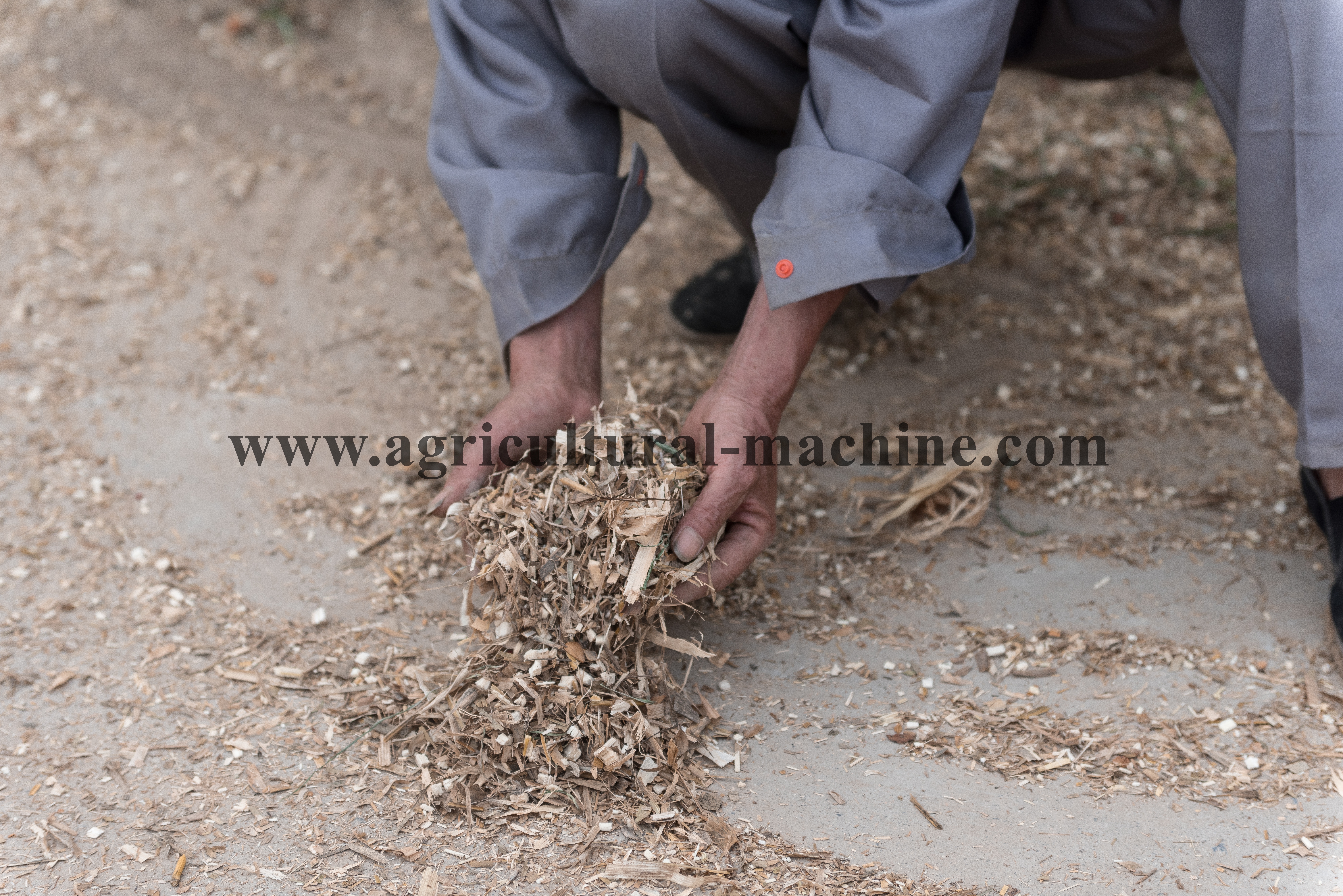 Animal Feed Cutting Grass Machine / Straw Cutter / Grass Cutter With Great Capacity 6 Cutting Effect Of Chaff Cutter