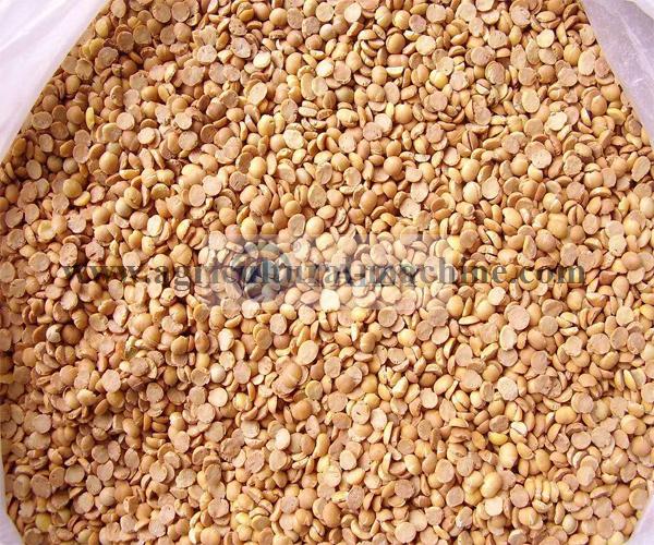 High Capacity Beans Peeling Peeler Machine 5 Beans Peeling Machine 4