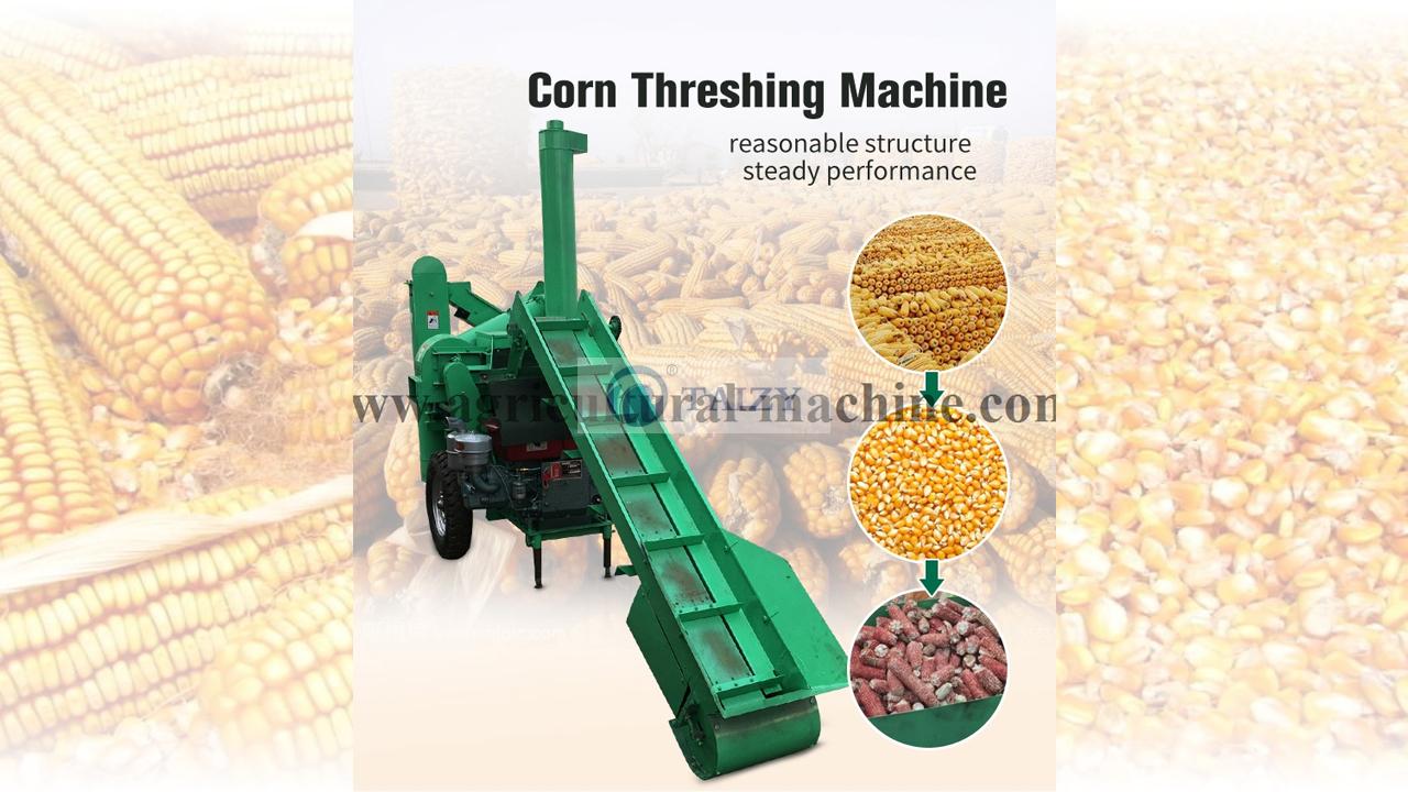 Things You Should Know About Ty Series Corn Sheller Machine 1 Corn Sheller