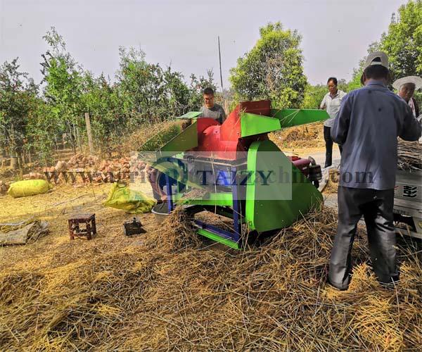 Wheat Thresher Test In Factory-Very Excellent Effect! 1 Wheat Thresher 12