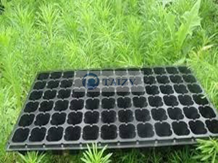 nursery seedling tray