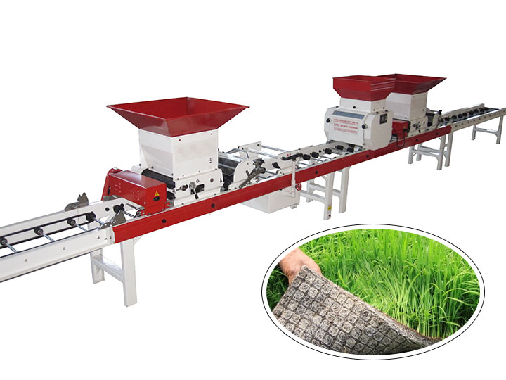 rice nursery seedling machine