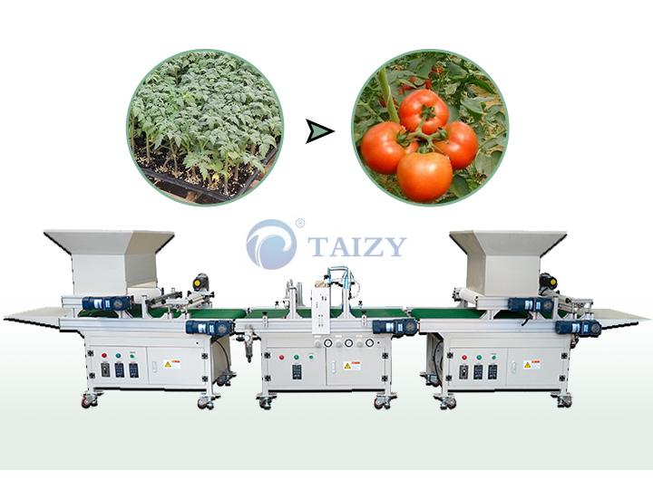 3 Tomatoes Nursery Seedling Machine Sold To Africa 1 Tomato Nursery Seedling Machine
