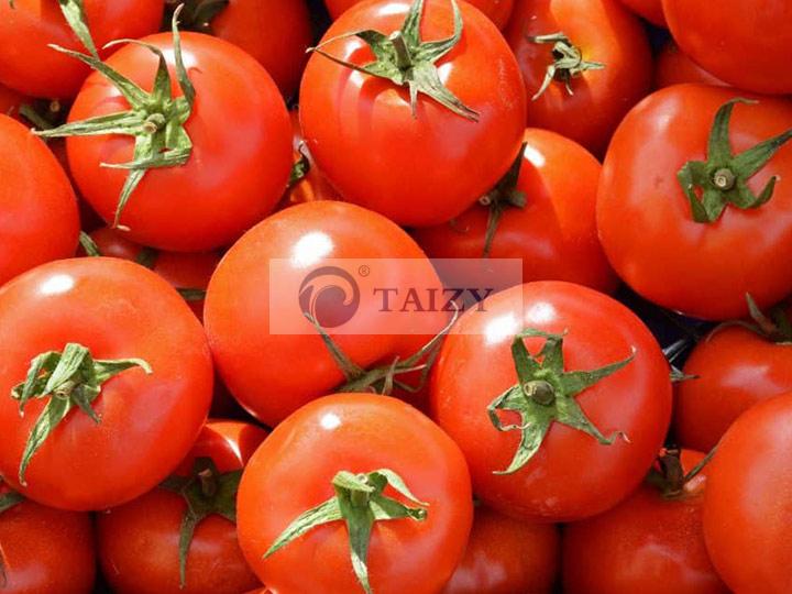 3 Tomatoes Nursery Seedling Machine Sold To Africa 2 Tomato