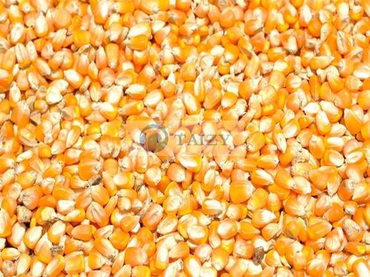 Corn threshing