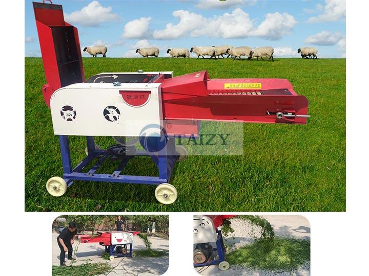 Difference Between Chaff Cutter And Cutter Grain Grinder 2 Chaff-Cutter