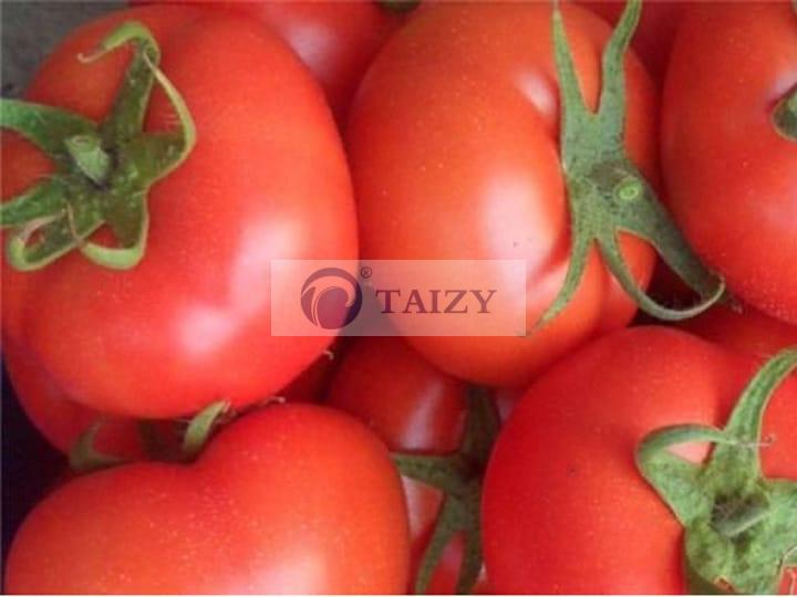 ντομάτα