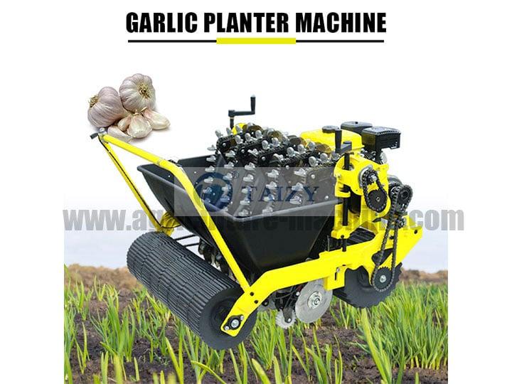 Garlic Planter | Garlic Sowing Machine For Sale 1 Garlic Planter