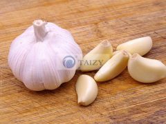 Knoblauch-Samen