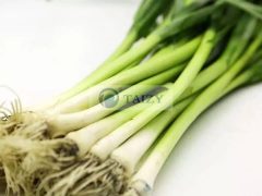 Knoblauch-Spross