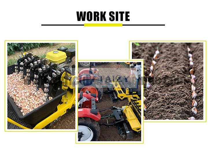 Garlic Planter | Garlic Sowing Machine For Sale 2 Plant Garlic