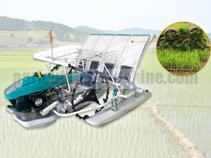 rice transplanter