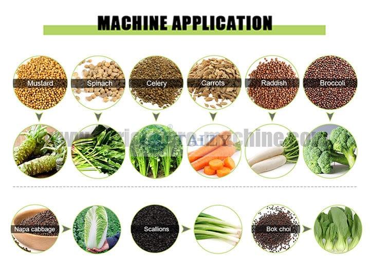 vegetable seed sowing