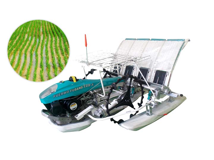 2 row Rice transplanter machine