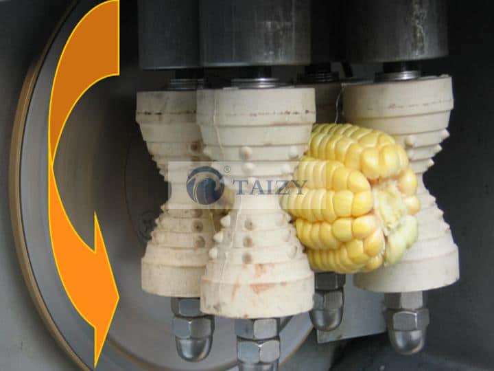corn
