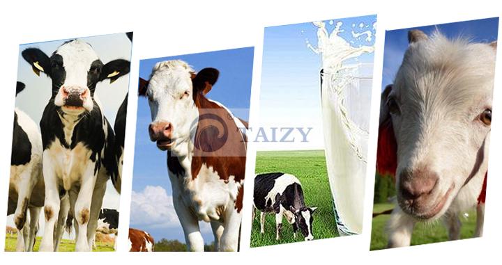 Cow Milking Machine | Goat Milking Machine | Goat Milker 2 Milking Machine For Cow Cattle