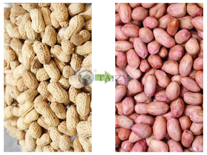 Peanut Sheller Removing Machine | Removing Groundnut Shell 4 Groundnut Sheller Machine