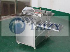 2BXP-500苗育苗機