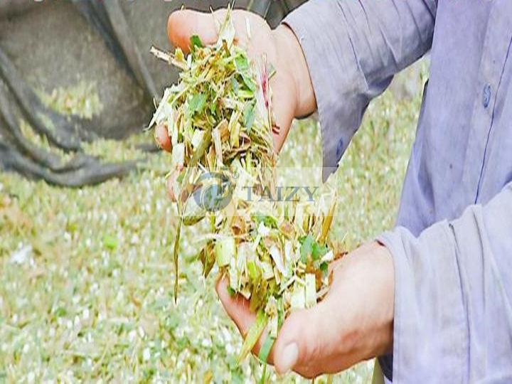 用秸秆粉碎回收机收获的秸秆