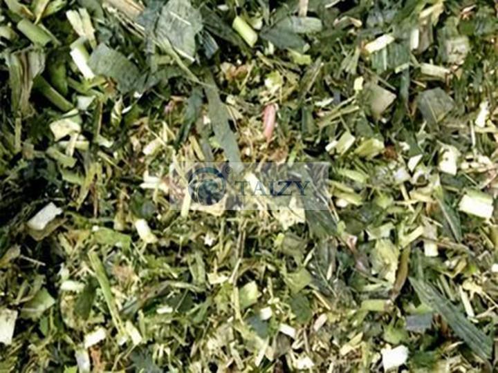 青贮