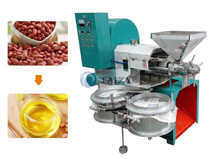 Screw peanut sesame oil press machine press oil extraction