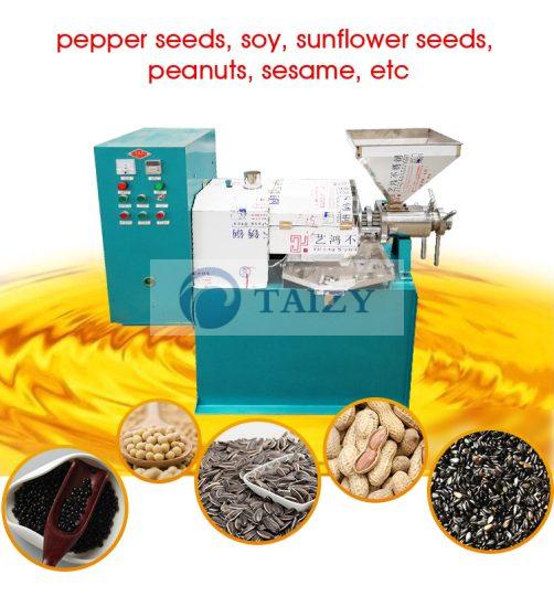 Screw Peanut, Sesame Oil Press Machine Press Oil Extraction 2 Screw Oil Presser