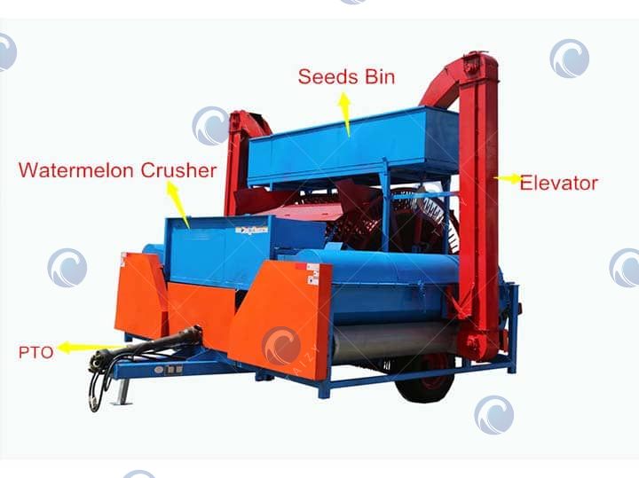 Máquina de extração de sementes de melão