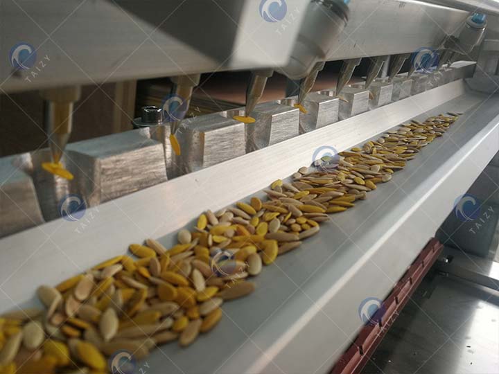 The display of the seedling machine's suction needle sucking melon seeds The display of the seedling machine's suction needle sucking melon seeds