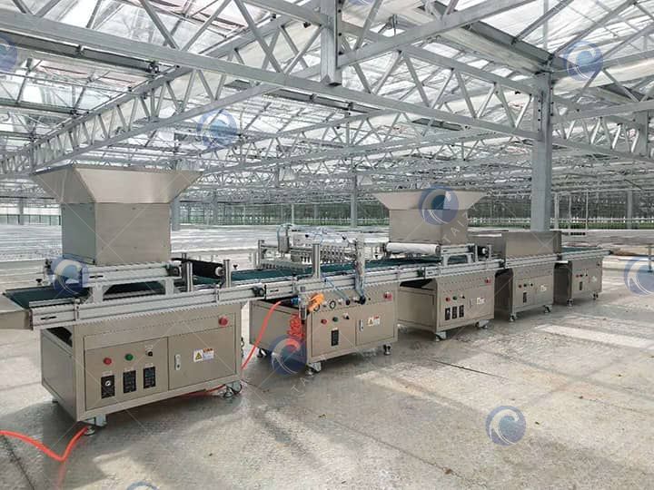 automatic nursery seedling machine automatic nursery seedling machine